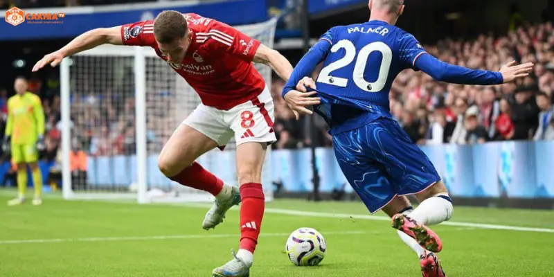 Chelsea vs Nottingham Forest vòng 35 Ngoại hạng Anh tại Stamford Bridge
